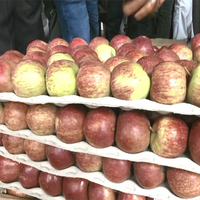Himchal Pradesh: Early apple varieties fetching high prices in wholesale markets