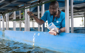 "Even if we go without rain for the next 10 years, we are okay," – Lessons in water efficiency from a vertical fish farm in Kenya 