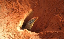 Thunderbird site visitor.