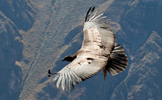Flying the nest: New wave of French spinouts