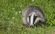 New Welsh Government must prioritise bTB eradication, says FUW