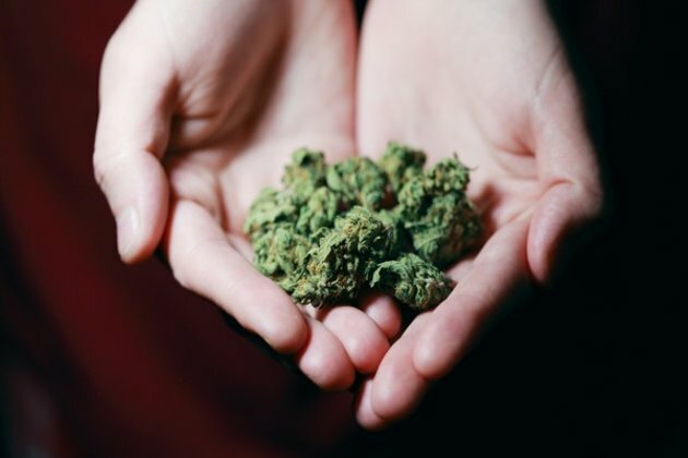 Andhra Pradesh Police seizes 240 kg of cannabis routed to Sri Lanka