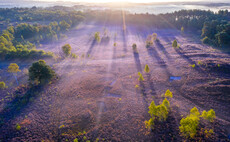 South Downs National Park to open up land for firms to invest in biodiversity credits