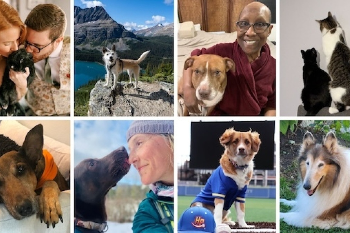 For National Adopt a Shelter Pet Day, readers share their stories