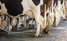 Ardian to acquire farming hygiene firm Hypred from Roullier