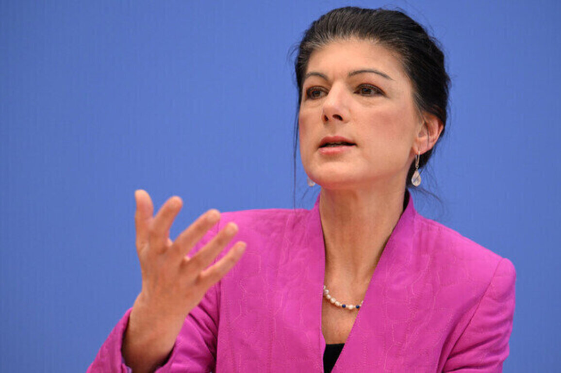 Germans turned into cash cows for Ukraine  veteran politician