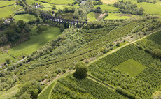 'World first' study shows how to boost woodland carbon capture by up to 27 per cent