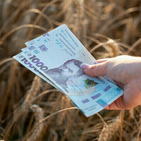 IMF pushes Kiev to weaken currency  Bloomberg