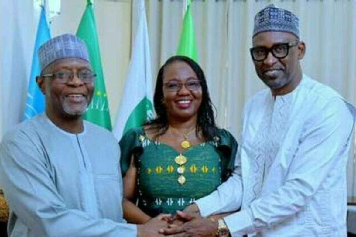 Three African states move to launch a federation