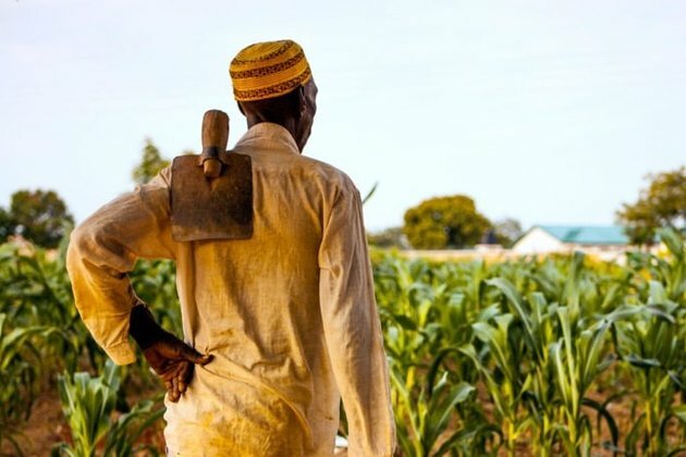 Why farmers in northern Ghana go to bed hungry