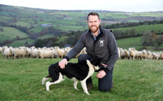 Share farming opportunity provides first step on the ladder for new entrant