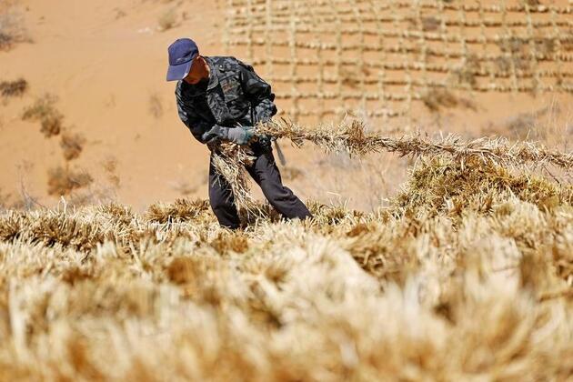 China's desert-control expertise contributes to solutions for a global challenge