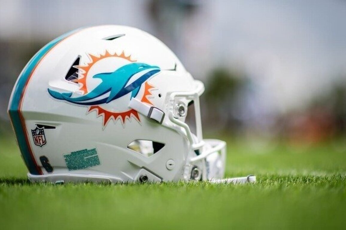 Miami Dolphins announce sale of limited interest to Bin Lin