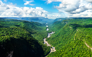UNEP: Annual global investment in forests needs to triple to $300bn by 2030