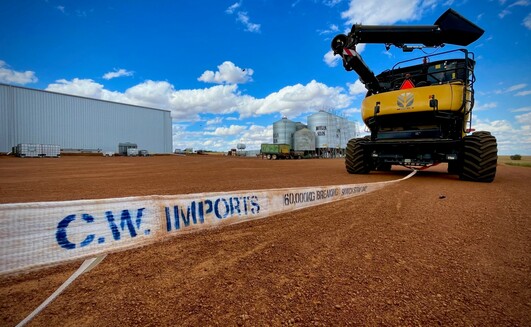 Because chains have a relatively low working load limit, recovery straps should be the go-to for bogged harvester recovery. Opt for soft shackles and avoid D-shackles.