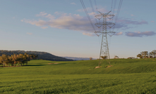 Transgrid begin spread through NSW.