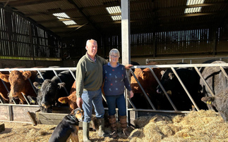 Livestock at the heart of 50-year career - "I have made a lot of really good friends through the auction markets"