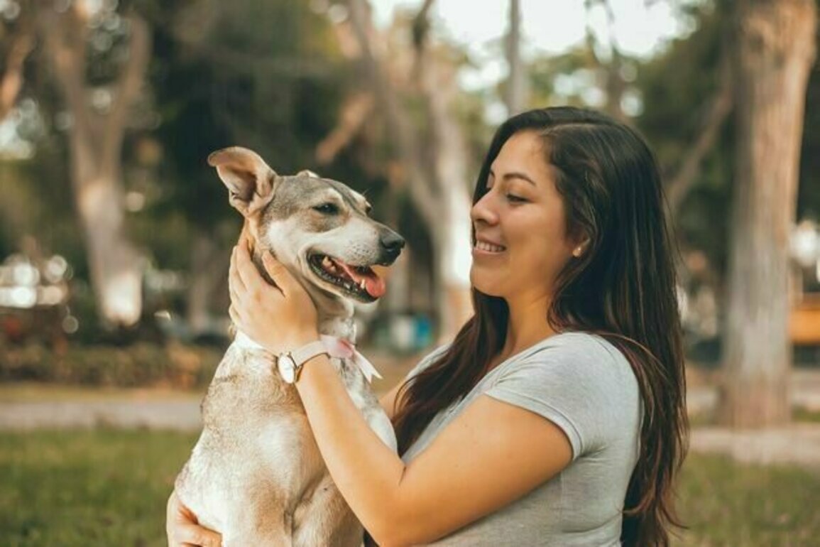 Pet guardians are increasingly worried about the mental health of their dogs and cats