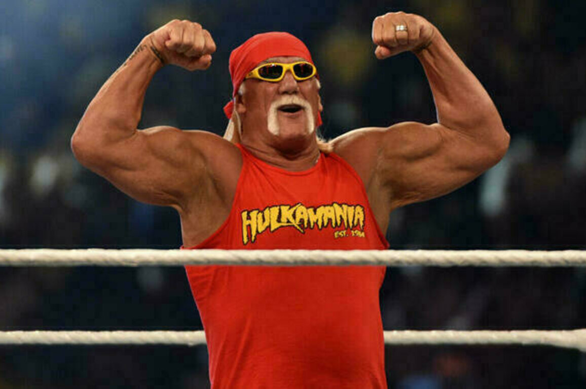 Pro wrestling legend Hulk Hogan dies at 71