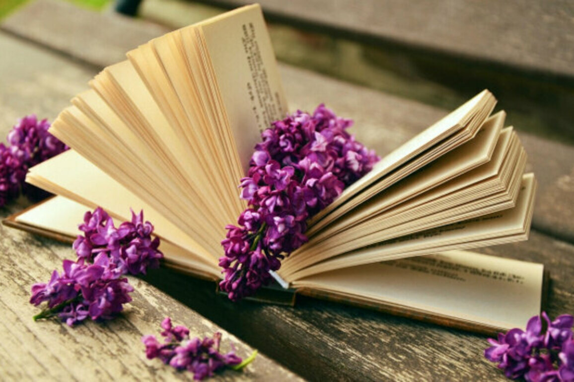 Nearly 9,000 Books Published in Bulgaria in 2024, NSI Reports