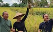 A Vale supplied image of local rice farmers in Pomalaa.