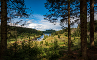 Morten Nilsson - Are DB pensions finally out of the woods?