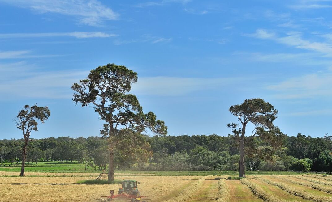 A man was killed on a Victorian farm last week after being crushed between a tractor and a hay rake attachment.