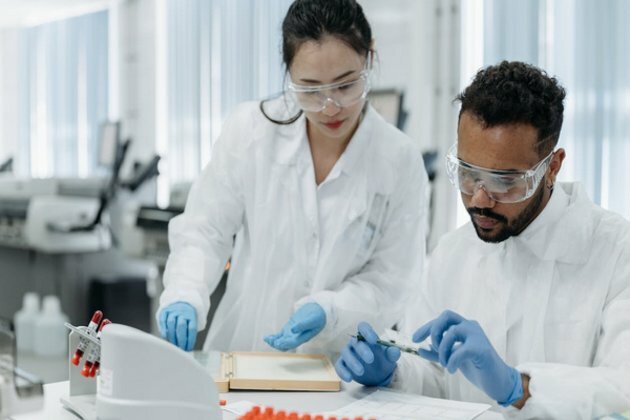 Study discovers link between gut microbiome, bone density