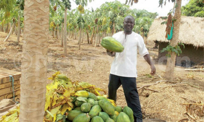 I owe my fame to farming I owe my fame to farming