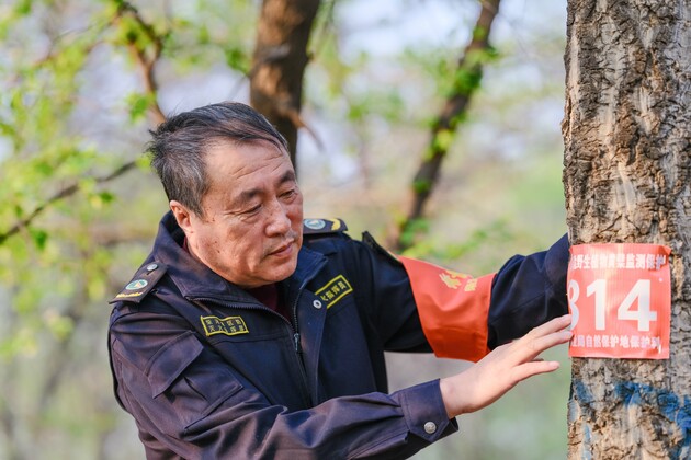 ChineseToday | Forest rangers protect biodiversity in Greater Khingan Mountains