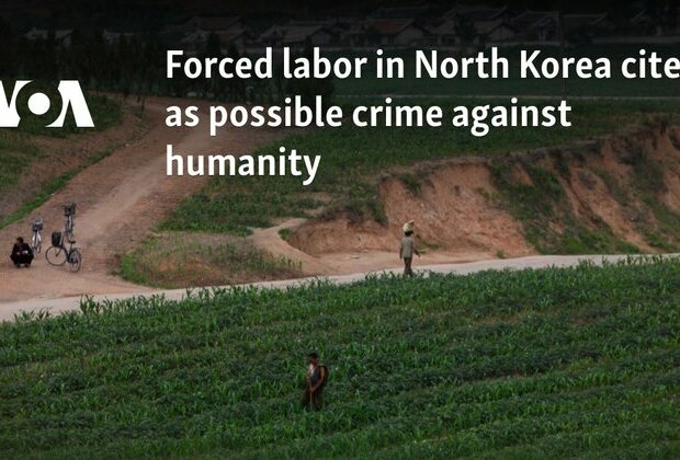 Forced labor in North Korea cited as possible crime against humanity