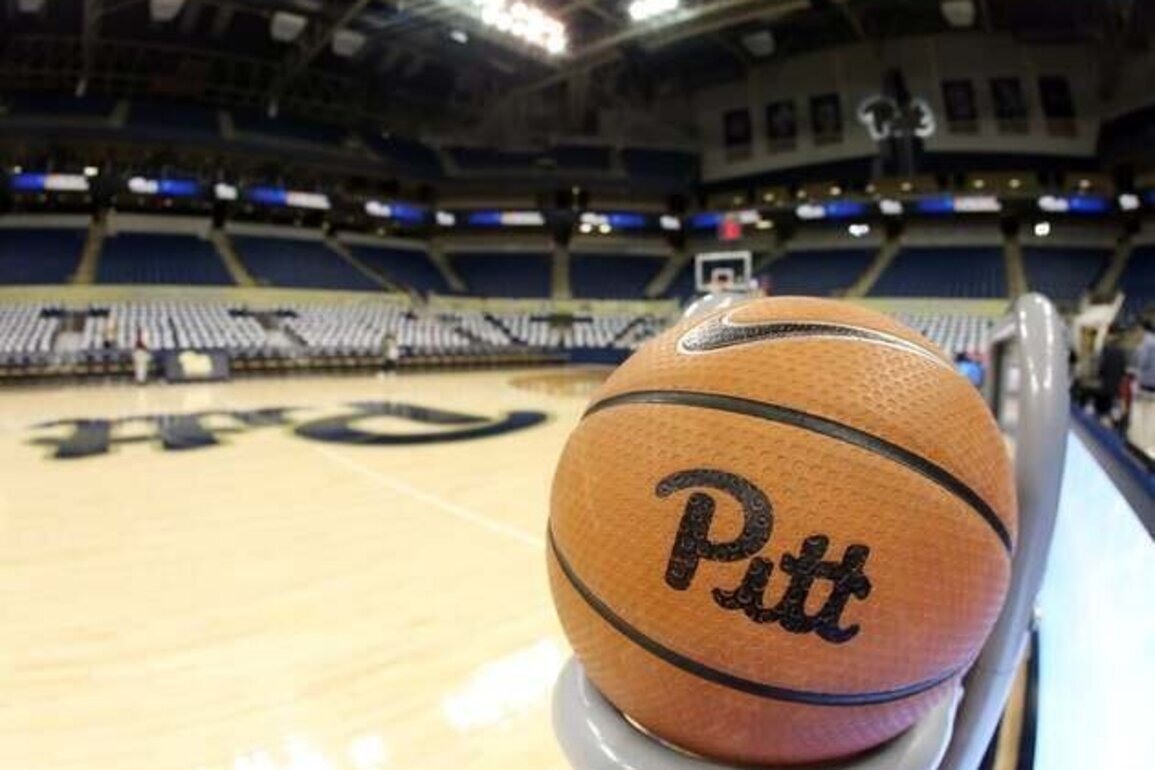 Pitt hires Charleston's Robin Harmony as head coach