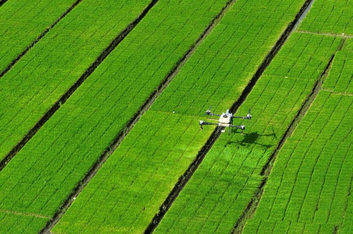 AI vs human farmers: China's smart agriculture competition enters round 2