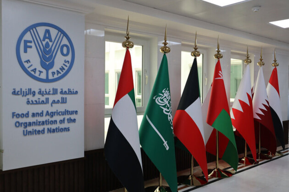 UAE strategic partner in supporting food security regionally, globally: FAO