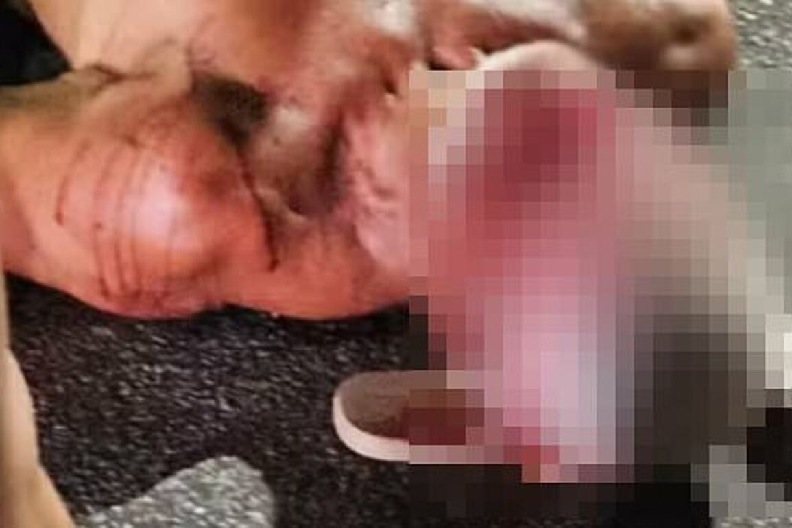 Entitled Porsche driver attacks elderly man who asked him to stop revving his engine