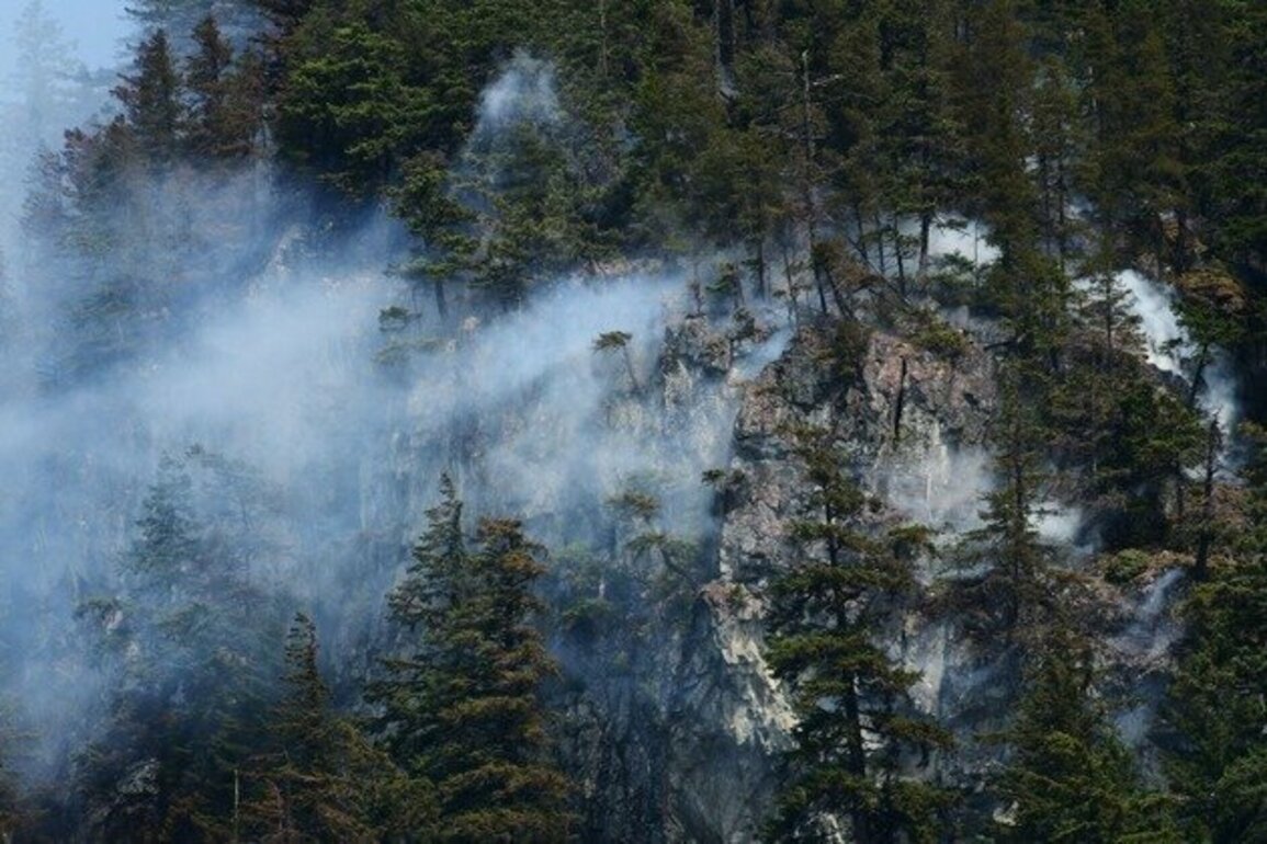 Canada's wildfires burn more than 5.5 million hectares