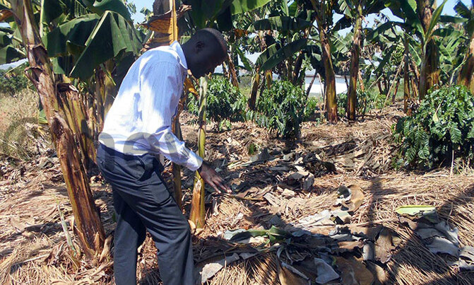Farmers asked to embrace new farming systems Farmers asked to embrace new farming systems