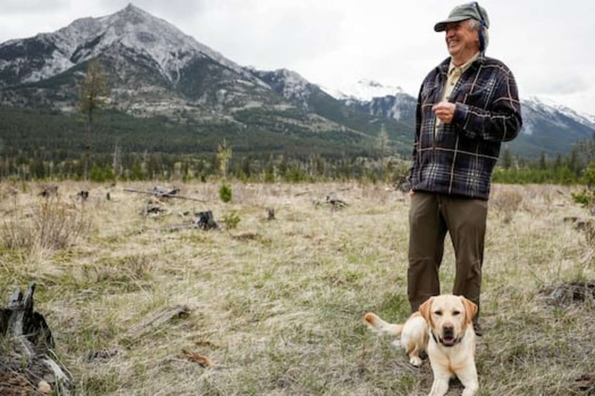 Logging, pruning and anxiety in Banff ahead of first summer since Jasper wildfire