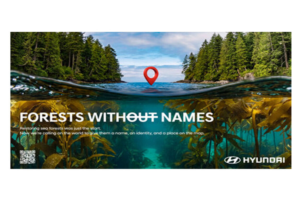 Forests Without Names: Hyundai Motor Brings the World's Hidden Sea Forests Into the Light