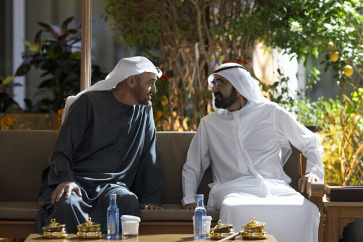 UAE President and Mohammed bin Rashid discuss national affairs during meeting in Dubai