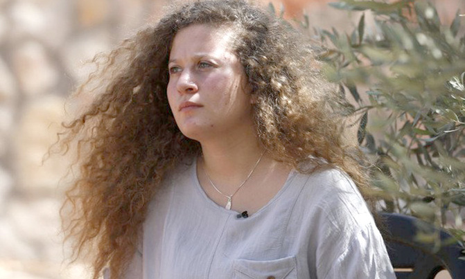 Brother of Palestinian teen Tamimi sentenced for stone-throwing Brother of Palestinian teen Tamimi sentenced for stone-throwing