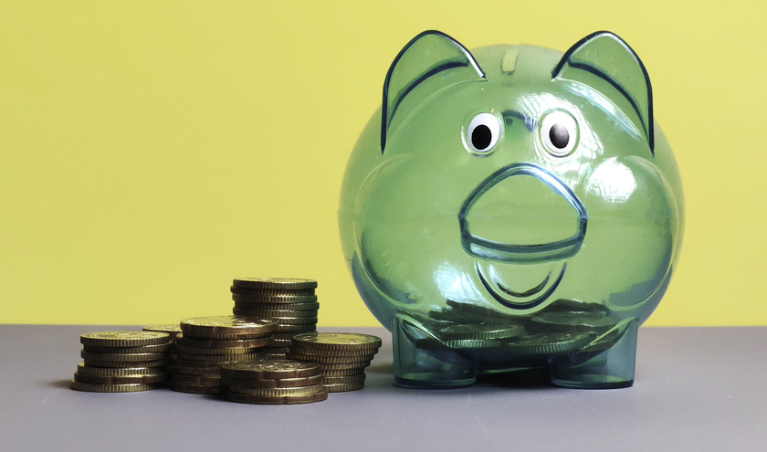 © Faizal Ramli / Shutterstock