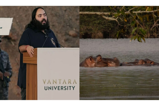 Anant Ambani urges Colombia to stay lethal removal of 80 hippos, offers permanent home at Vantara