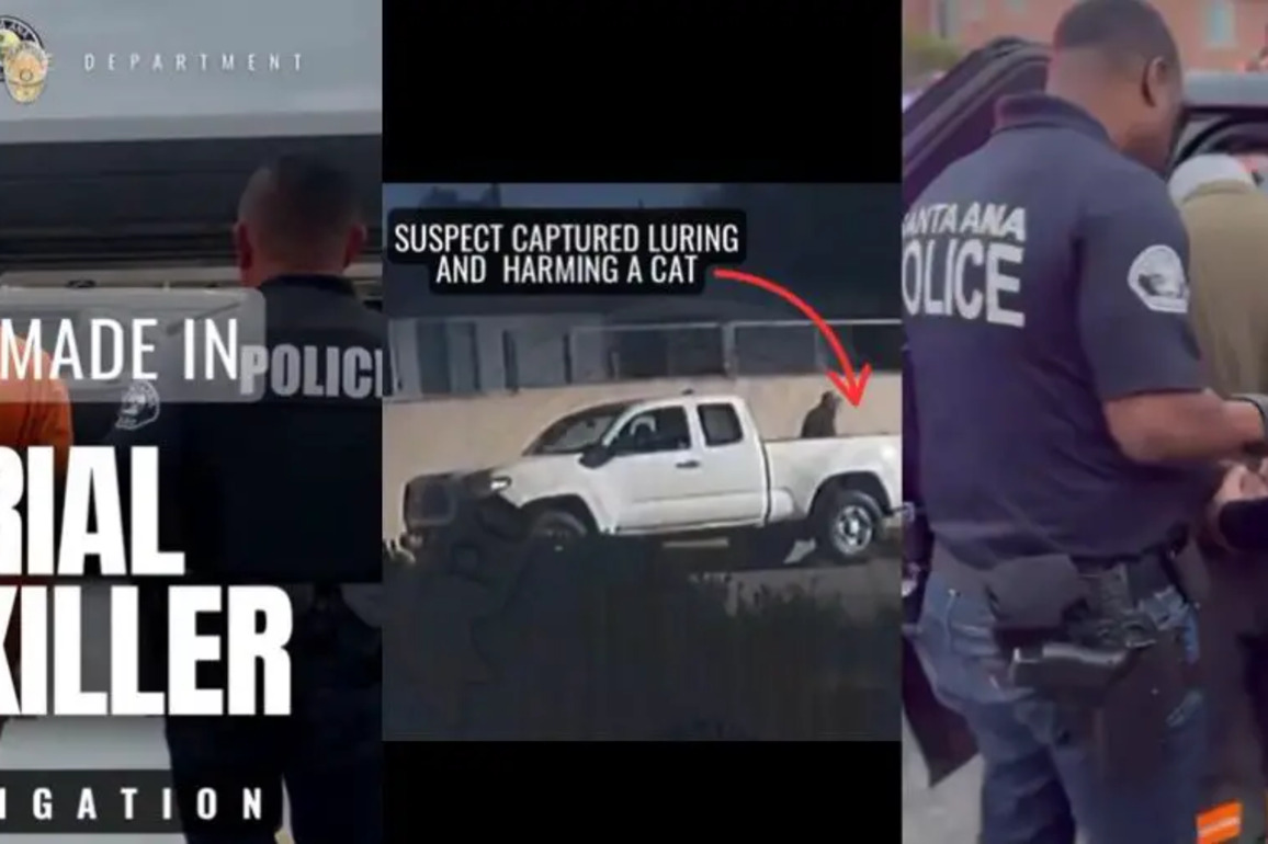 Notorious suspect in Santa Ana cat killings finally arrested - New Santa Ana