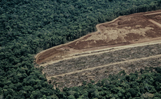 How ICEYE's satellites help enforcement agencies monitor illegal deforestation