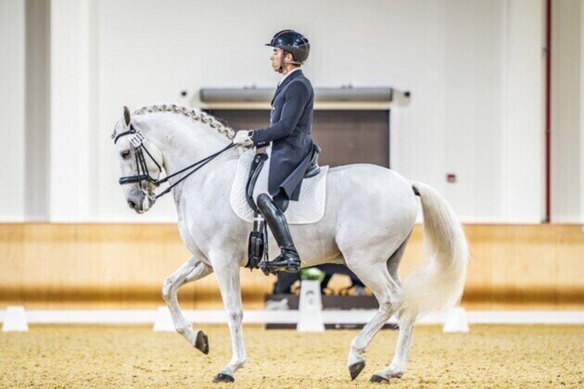 Royal Stables set to host UAE National Dressage Championships for first time