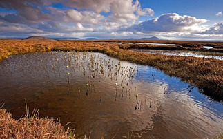 Ecotricity revamps approach to carbon credits