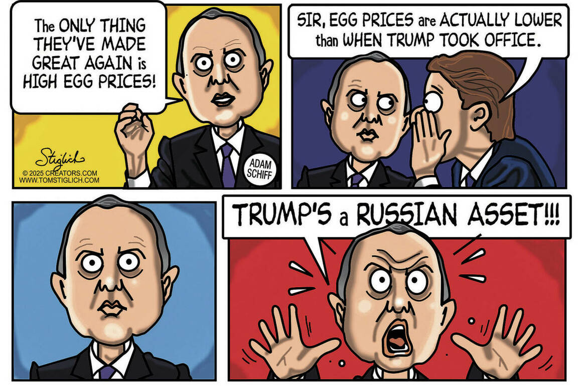 Democrats have egg on their face over this issue - CARTOONS - Drawing Board