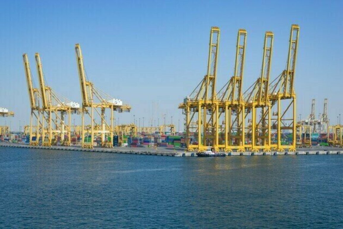 UAE advances as global maritime power through system of legislation, investments