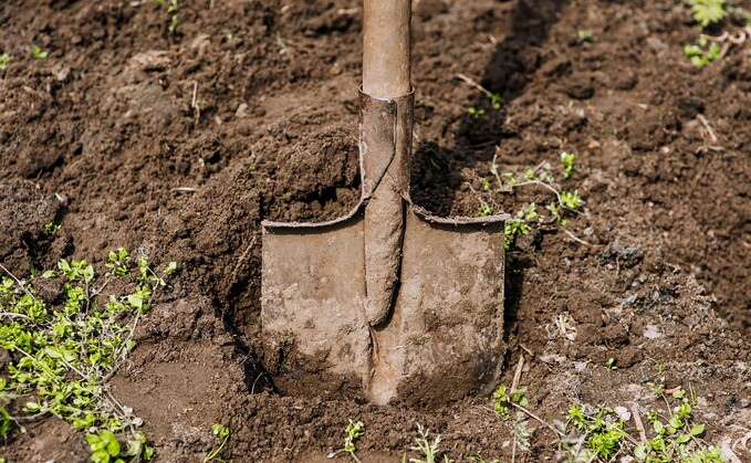 7 ways better soil means better business